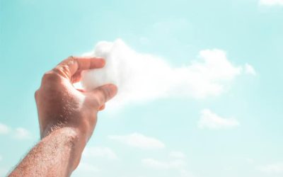 Cerveau et création